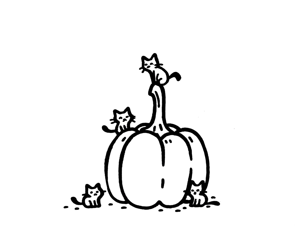 Example of cat slides explaining a concept